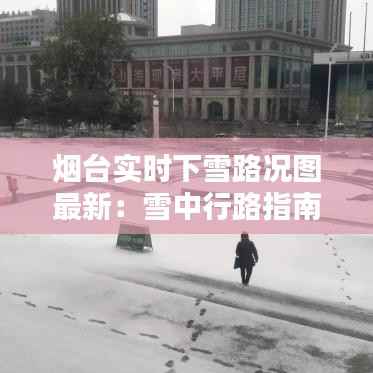 烟台实时下雪路况图最新：雪中行路指南与实时路况一览