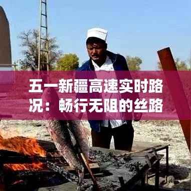 五一新疆高速实时路况:畅行无阻的丝路之旅