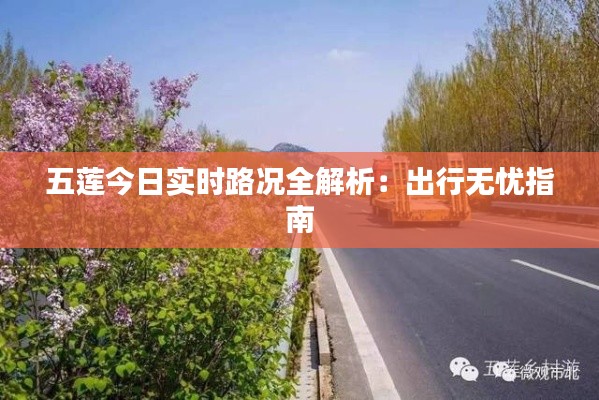 五莲今日实时路况全解析：出行无忧指南