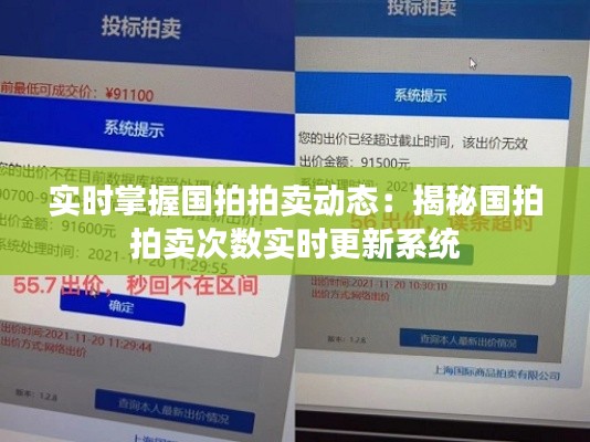 实时掌握国拍拍卖动态：揭秘国拍拍卖次数实时更新系统