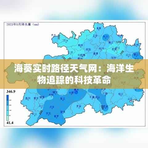 海葵实时路径天气网:海洋生物追踪的科技革命