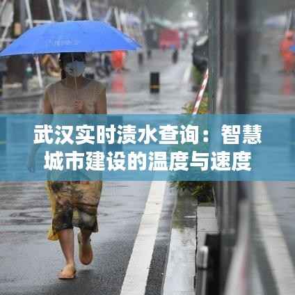 武汉实时渍水查询:智慧城市建设的温度与速度