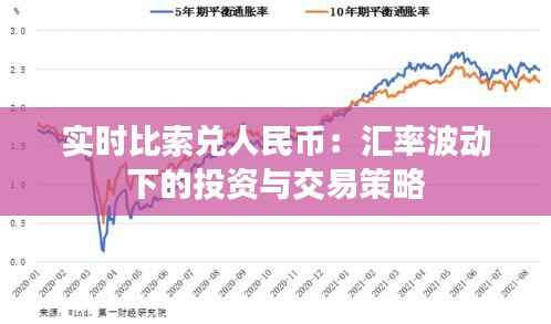 实时比索兑人民币:汇率波动下的投资与交易策略