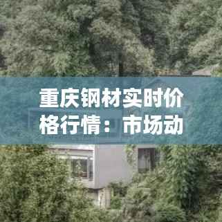 重庆钢材实时价格行情:市场动态与投资指南