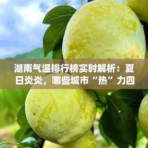 云龙井蛙 第3页