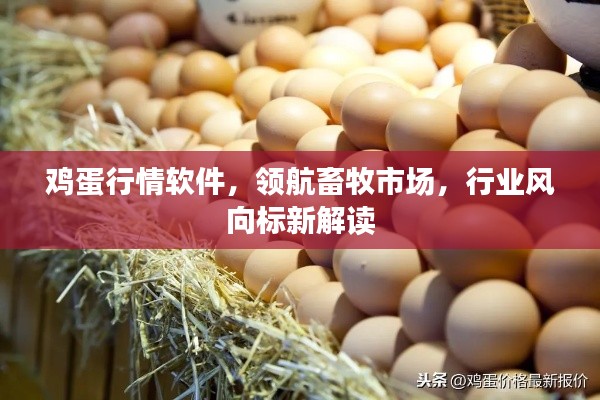 鸡蛋行情软件，领航畜牧市场，行业风向标新解读