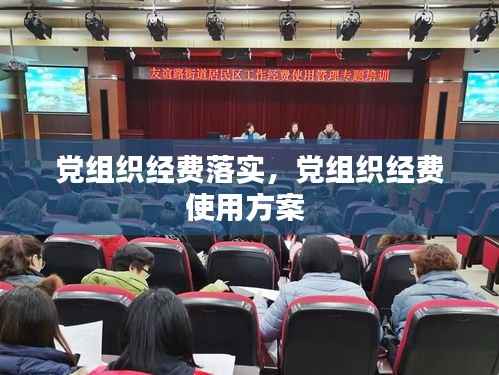 党组织经费落实,党组织经费使用方案