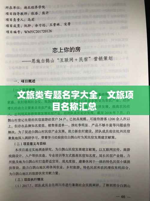 文旅类专题名字大全,文旅项目名称汇总