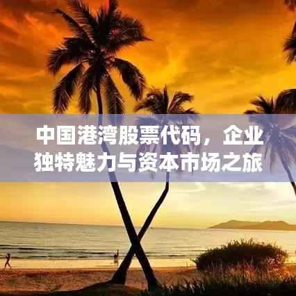 中国港湾股票代码,企业独特魅力与资本市场之旅的揭秘