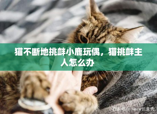 猫不断地挑衅小鹿玩偶,猫挑衅主人怎么办