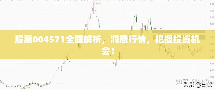 股票004571全面解析,洞悉行情,把握投资机会!