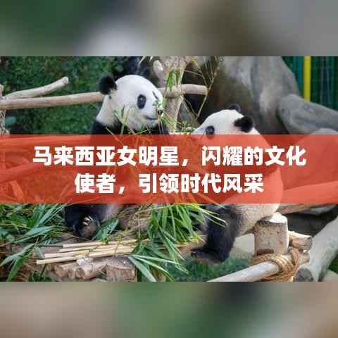 马来西亚女明星,闪耀的文化使者,引领时代风采