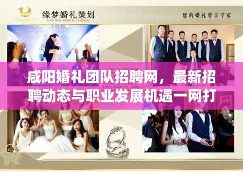 咸阳婚礼团队招聘网,最新招聘动态与职业发展机遇一网打尽