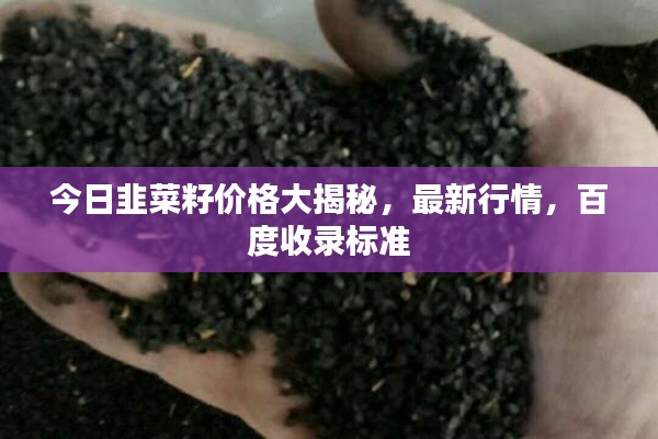 今日韭菜籽价格大揭秘,最新行情,百度收录标准