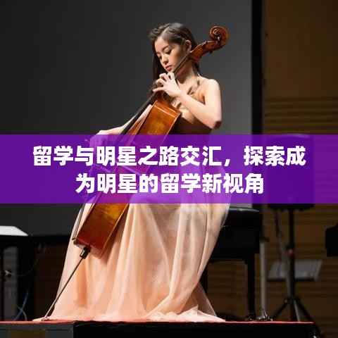 留学与明星之路交汇,探索成为明星的留学新视角