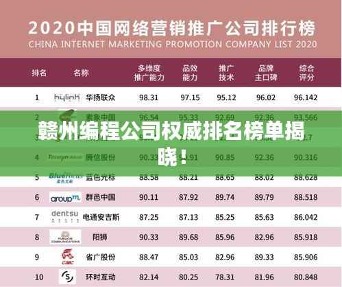 赣州编程公司权威排名榜单揭晓!