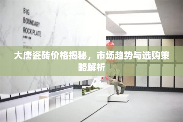 大唐瓷砖价格揭秘，市场趋势与选购策略解析