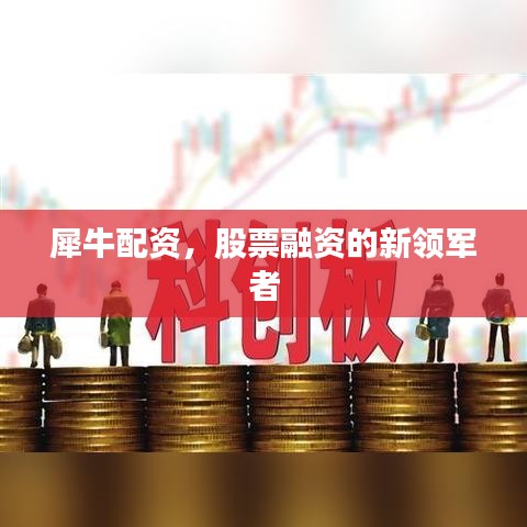 犀牛配资,股票融资的新领军者