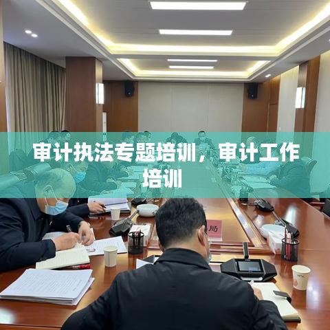 审计执法专题培训,审计工作培训