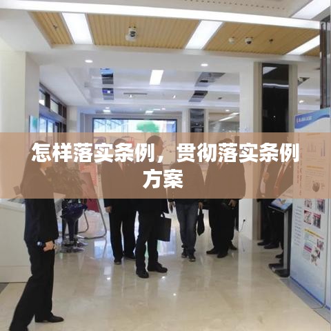 怎样落实条例，贯彻落实条例方案 