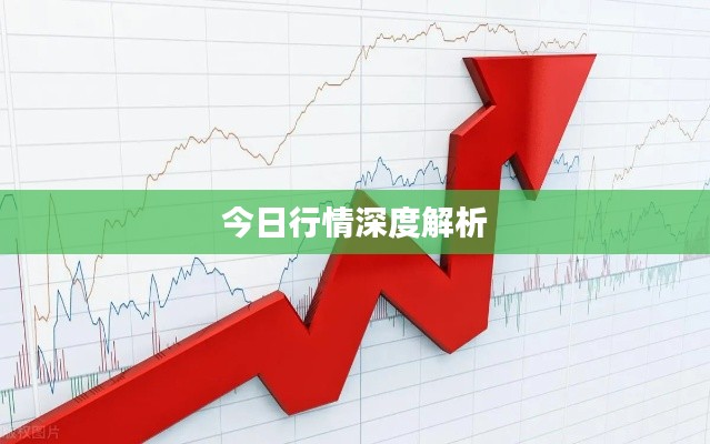 今日行情深度解析