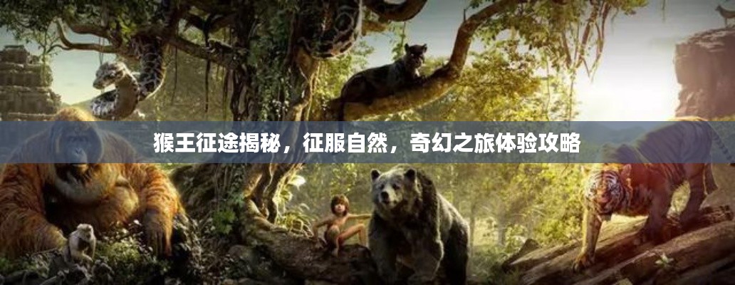 猴王征途揭秘,征服自然,奇幻之旅体验攻略