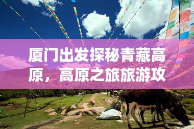 厦门出发探秘青藏高原,高原之旅旅游攻略