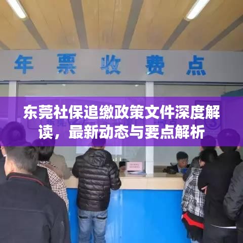 东莞社保追缴政策文件深度解读,最新动态与要点解析