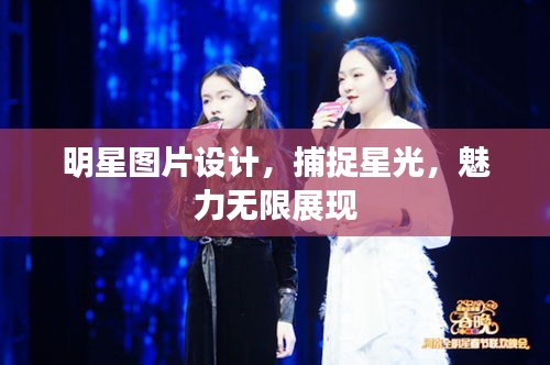 明星图片设计,捕捉星光,魅力无限展现