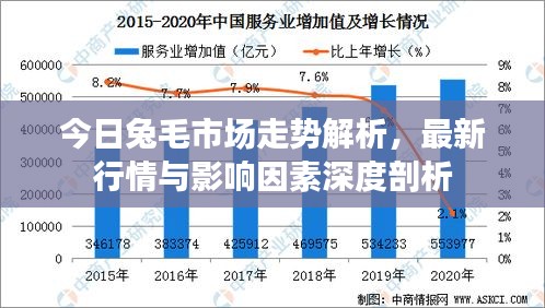 今日兔毛市场走势解析,最新行情与影响因素深度剖析