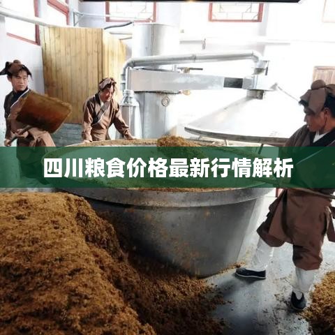 四川粮食价格最新行情解析