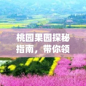 避凶就吉 第3页