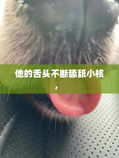 他的舌头不断舔舐小核,