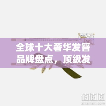 全球十大奢华发簪品牌盘点,顶级发饰价格大揭秘!