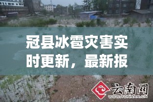 冠县冰雹灾害实时更新,最新报道与现场情况