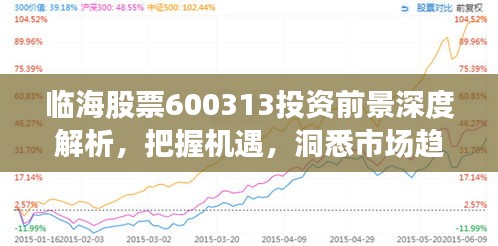 临海股票600313投资前景深度解析,把握机遇,洞悉市场趋势