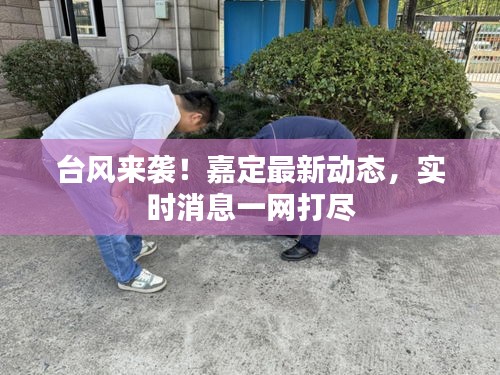 台风来袭！嘉定最新动态，实时消息一网打尽