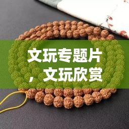 文玩专题片,文玩欣赏