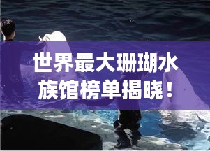 世界最大珊瑚水族馆榜单揭晓！惊艳海洋奇观，必看的海底世界之旅
