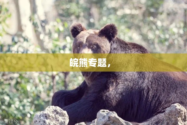 朴素无华 第2页