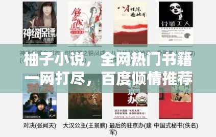 柚子小说，全网热门书籍一网打尽，百度倾情推荐