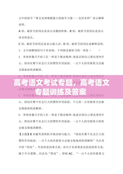 高考语文考试专题,高考语文专题训练及答案