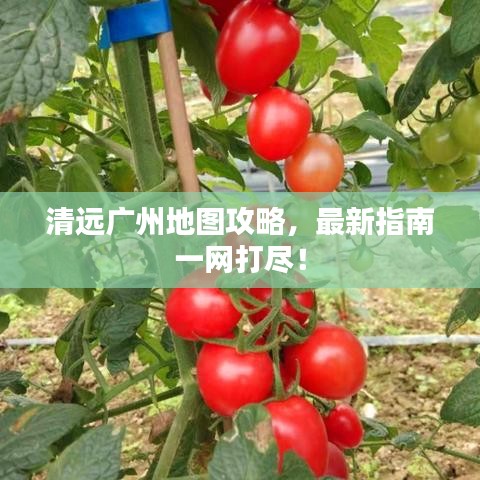 清远广州地图攻略，最新指南一网打尽！