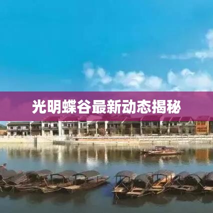 光明蝶谷最新动态揭秘