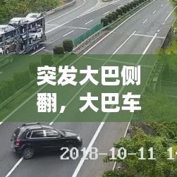 步履如飞 第3页