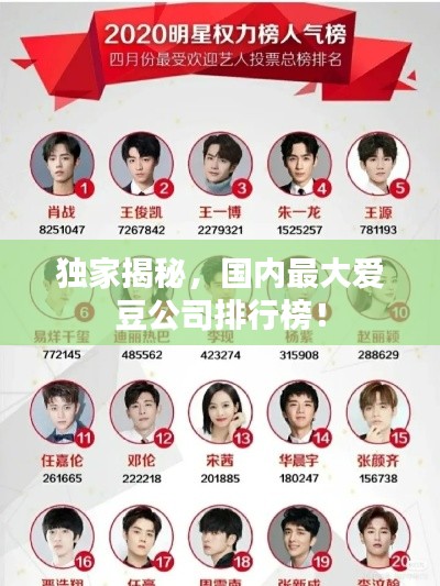 独家揭秘，国内最大爱豆公司排行榜！