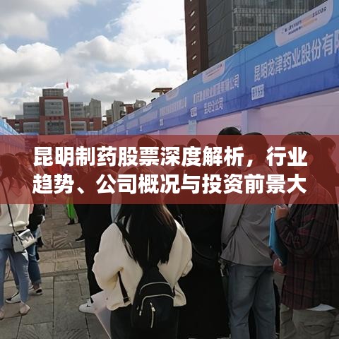 昆明制药股票深度解析,行业趋势、公司概况与投资前景大揭秘