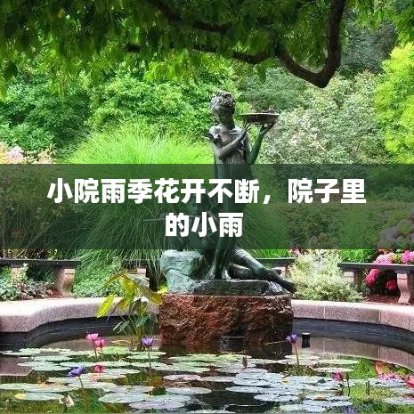 小院雨季花开不断,院子里的小雨