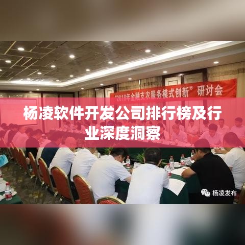 杨凌软件开发公司排行榜及行业深度洞察