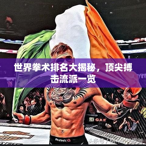 世界拳术排名大揭秘,顶尖搏击流派一览